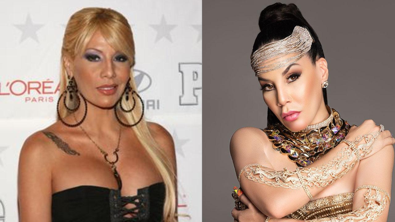 Ivy Queen Plastic Surgery