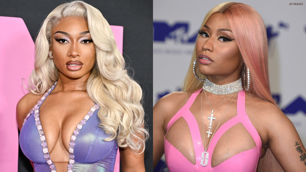 megan thee stallion plastic surgery